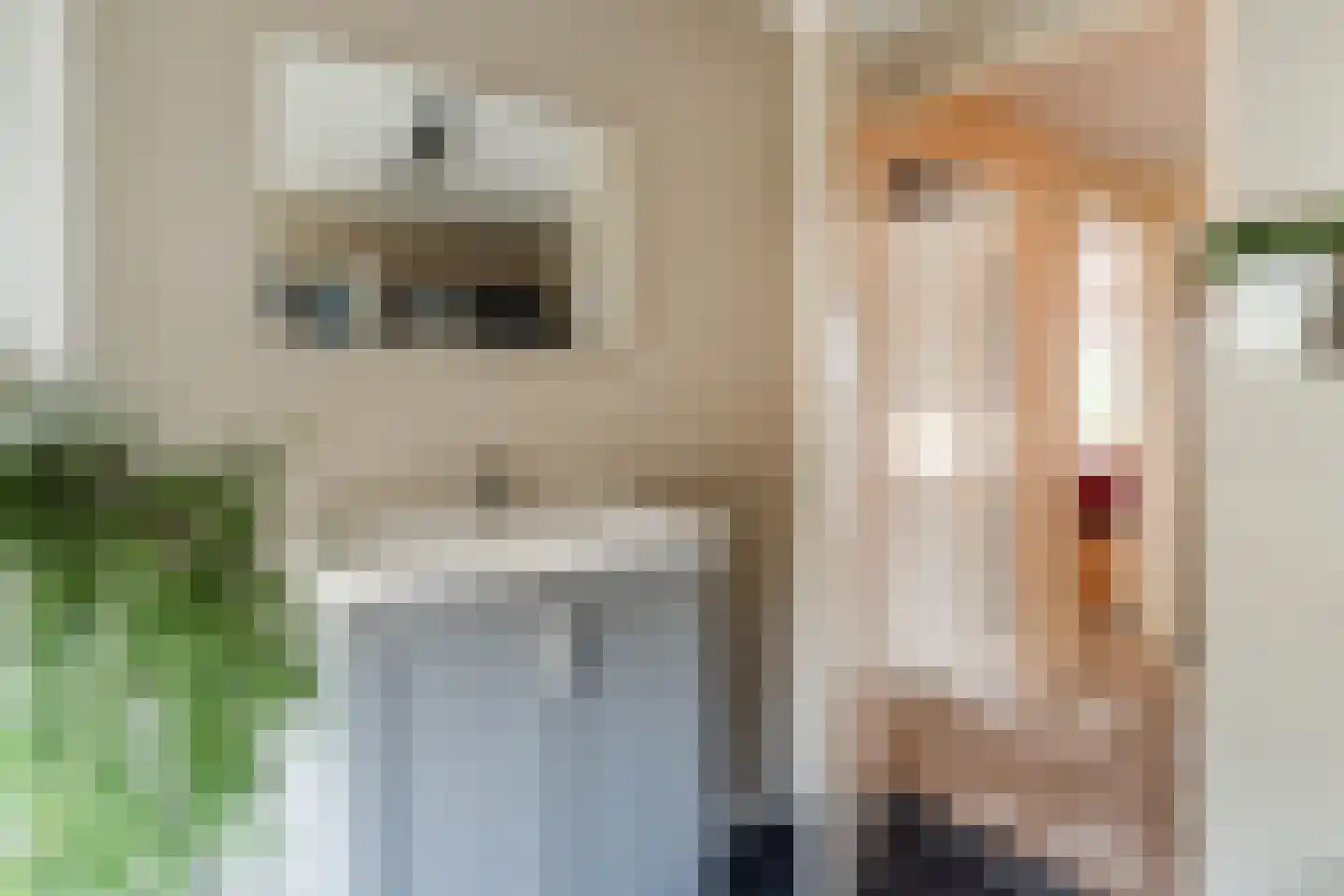 Schepenenstraat 15 Veldhoven thumbnail 26