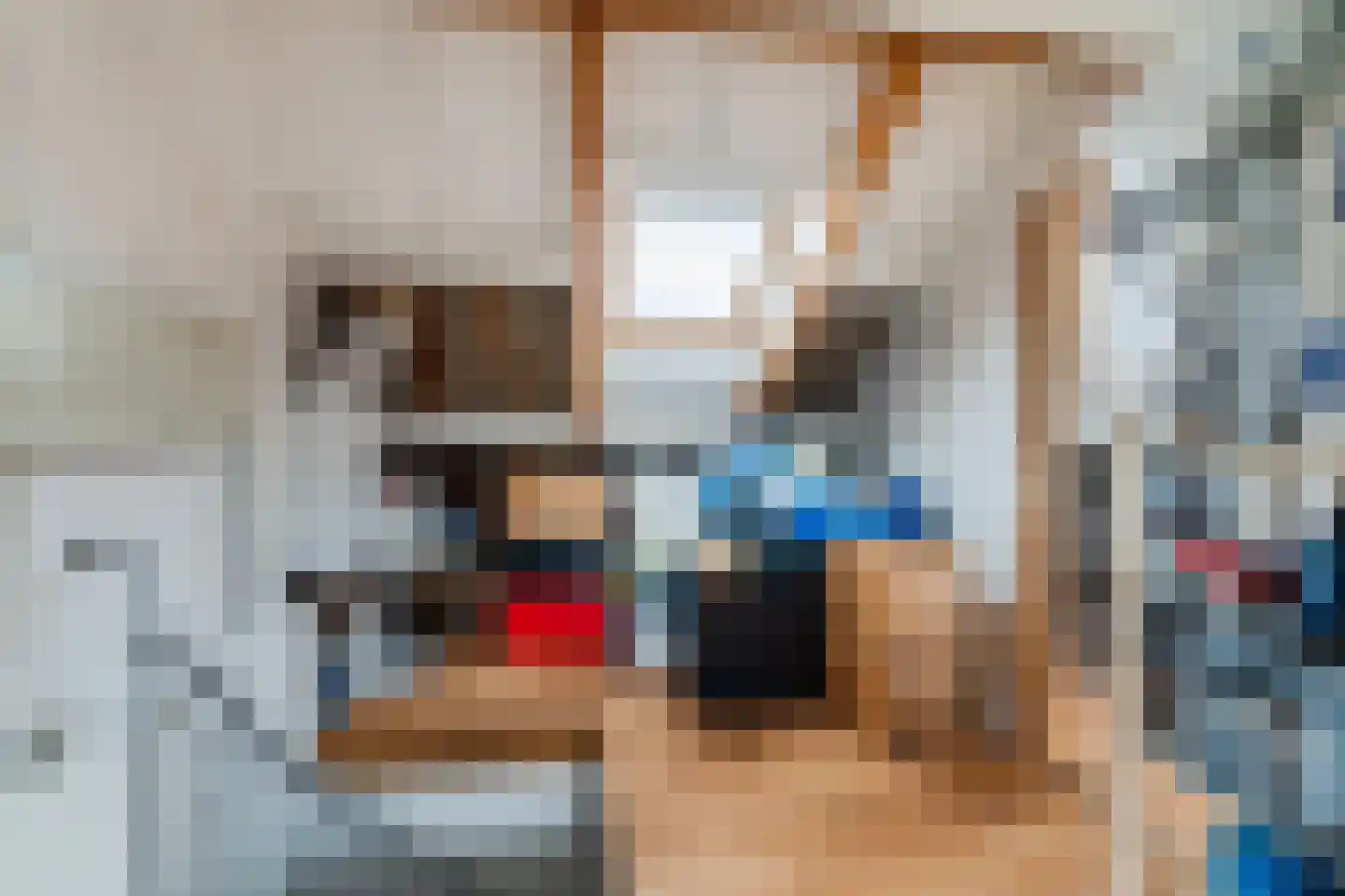 Schepenenstraat 15 Veldhoven thumbnail 28