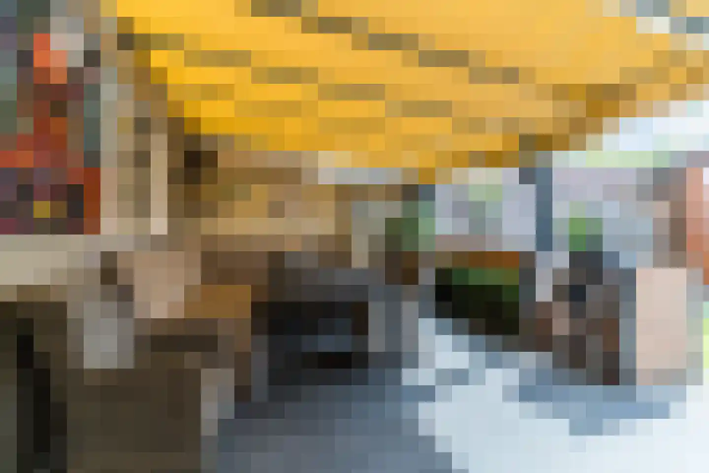 Schepenenstraat 15 Veldhoven thumbnail 31