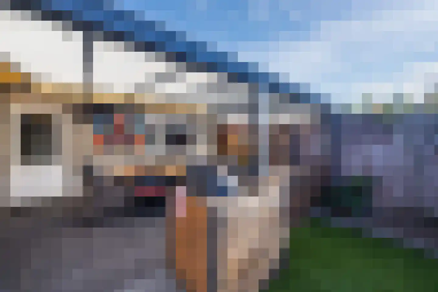 Schepenenstraat 15 Veldhoven thumbnail 34