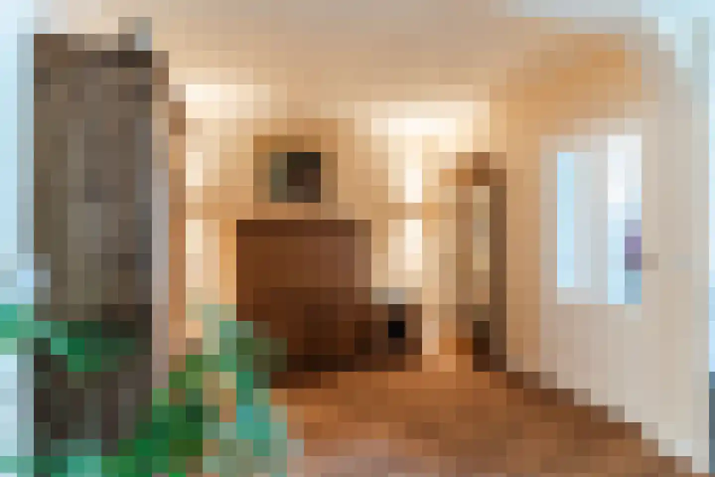 Schepenenstraat 15 Veldhoven thumbnail 8