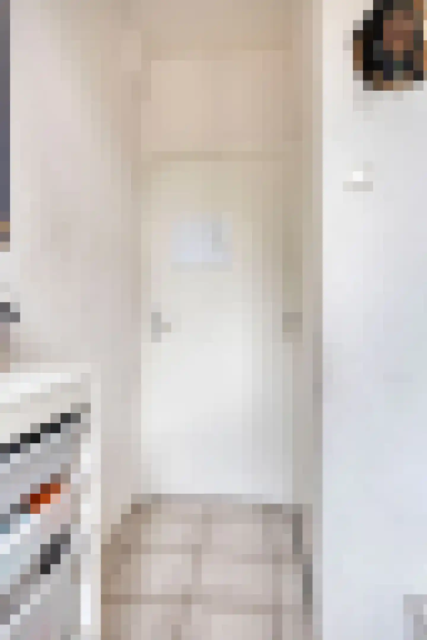 Schepenenstraat 17 Veldhoven thumbnail 5