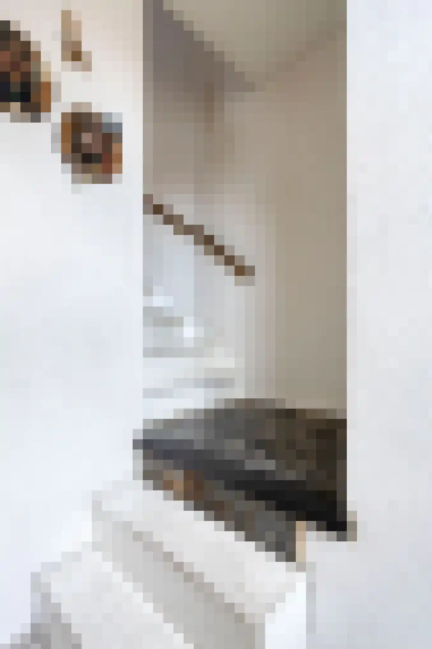 Schepenenstraat 17 Veldhoven thumbnail 7