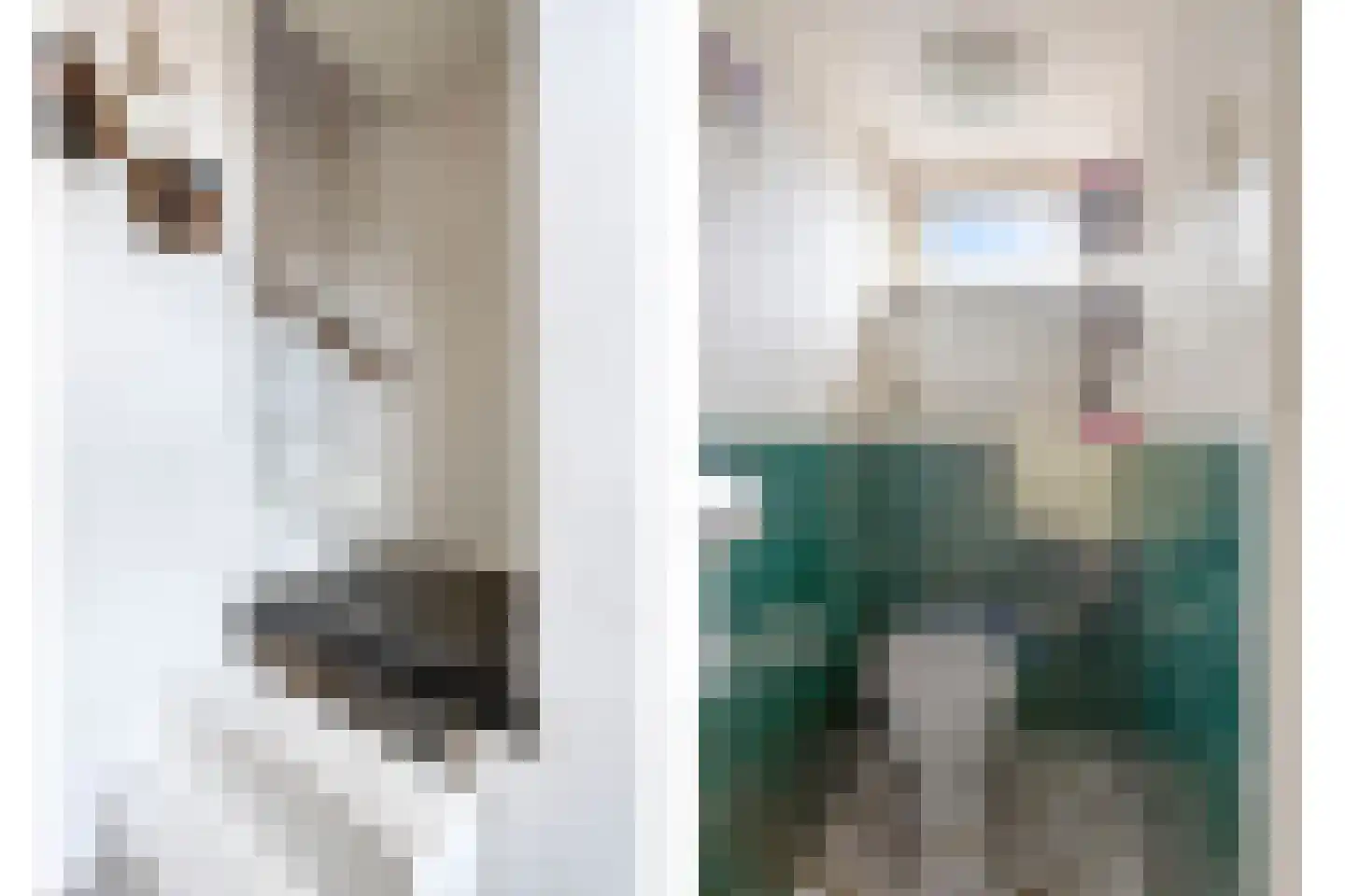 Schepenenstraat 17 Veldhoven thumbnail 9