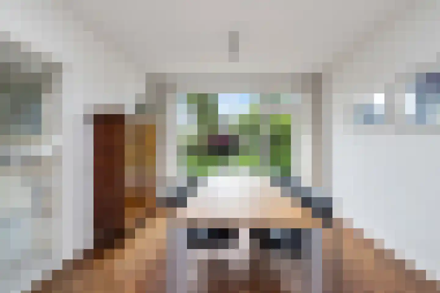Schepenenstraat 20 Geldrop thumbnail 10