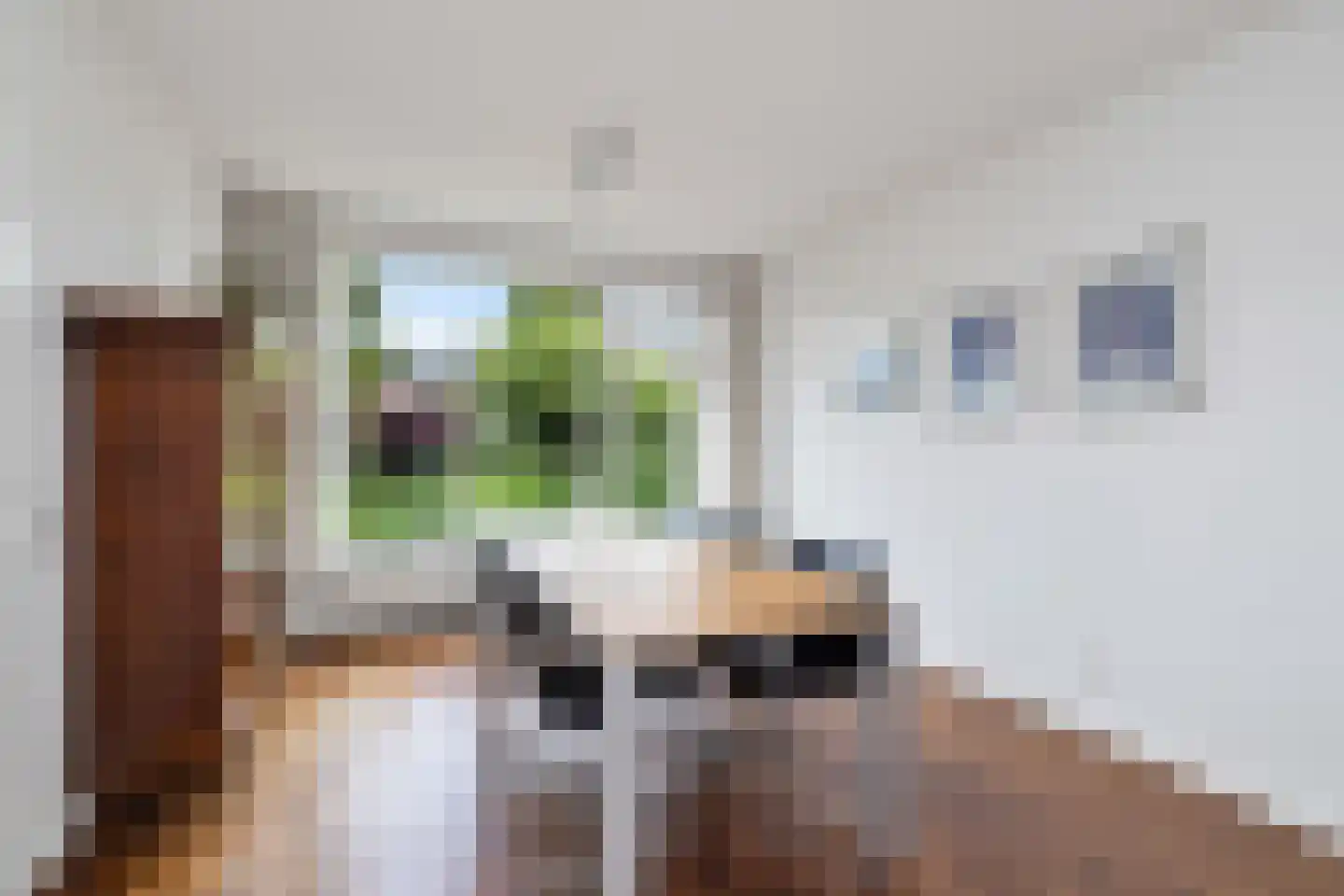 Schepenenstraat 20 Geldrop thumbnail 12