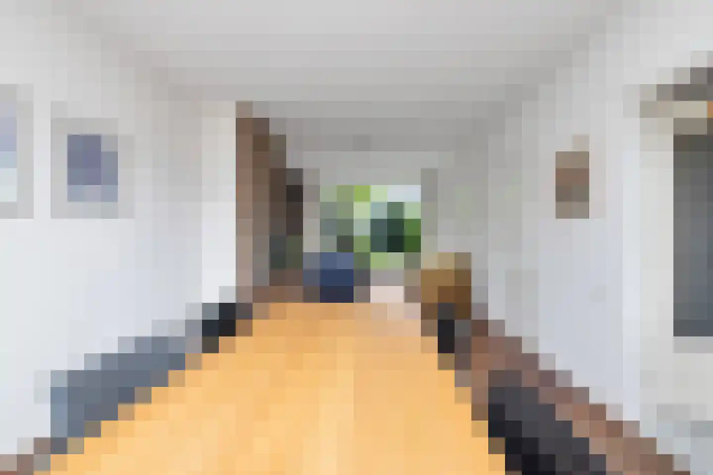 Schepenenstraat 20 Geldrop thumbnail 13
