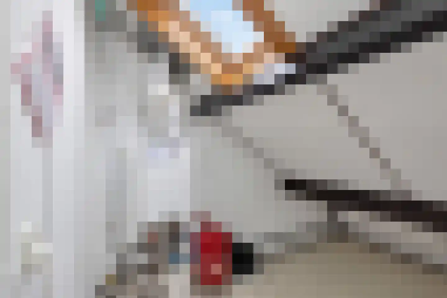 Schepenenstraat 20 Geldrop thumbnail 37
