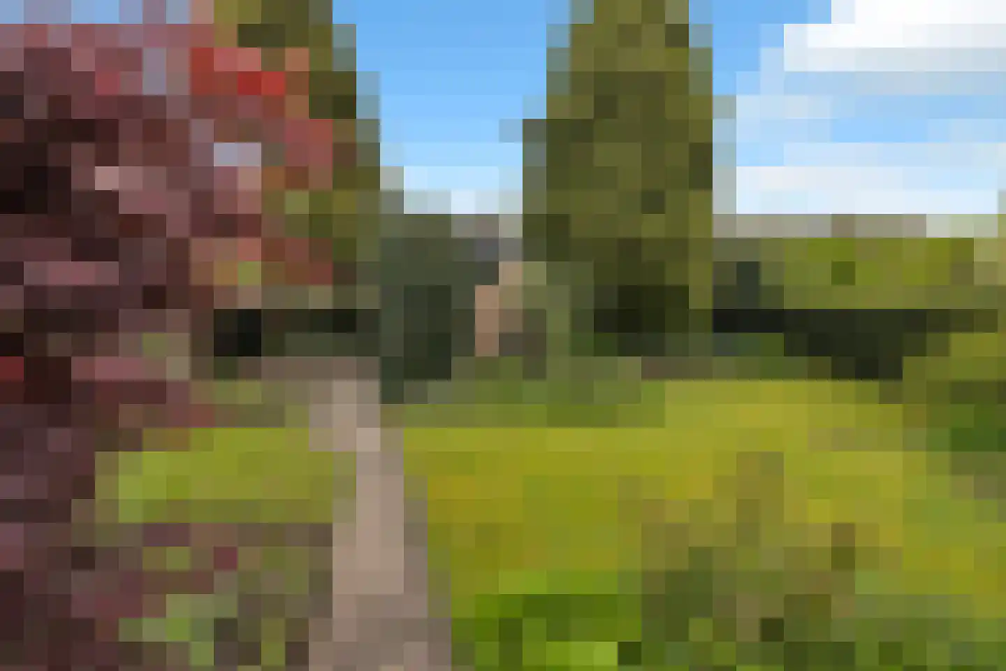 Schepenenstraat 20 Geldrop thumbnail 38