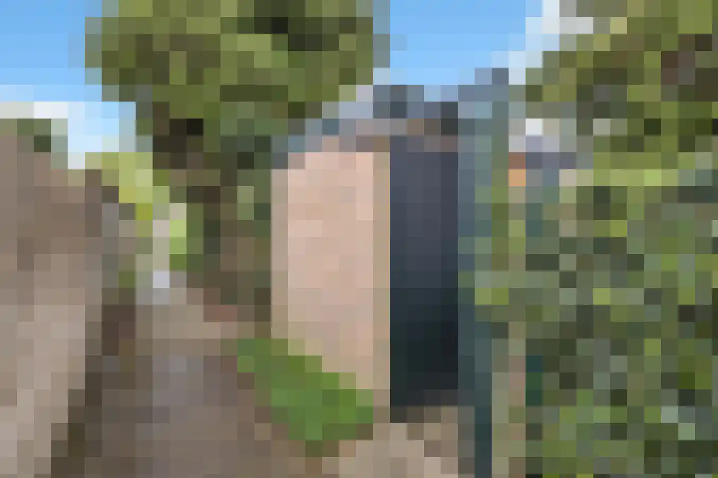 Schepenenstraat 20 Geldrop thumbnail 41