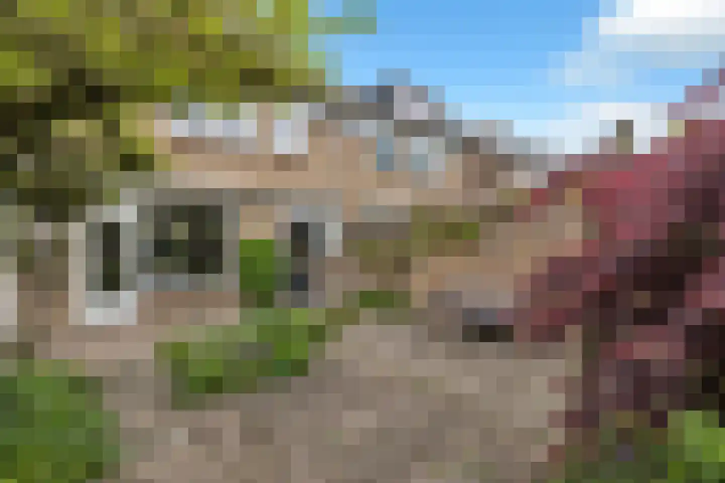 Schepenenstraat 20 Geldrop thumbnail 43