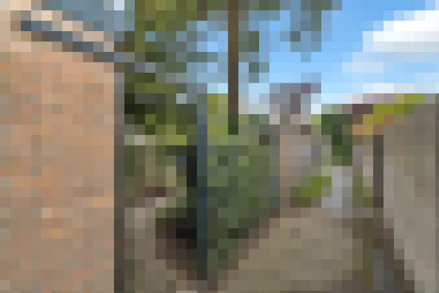 Schepenenstraat 20 Geldrop thumbnail 46