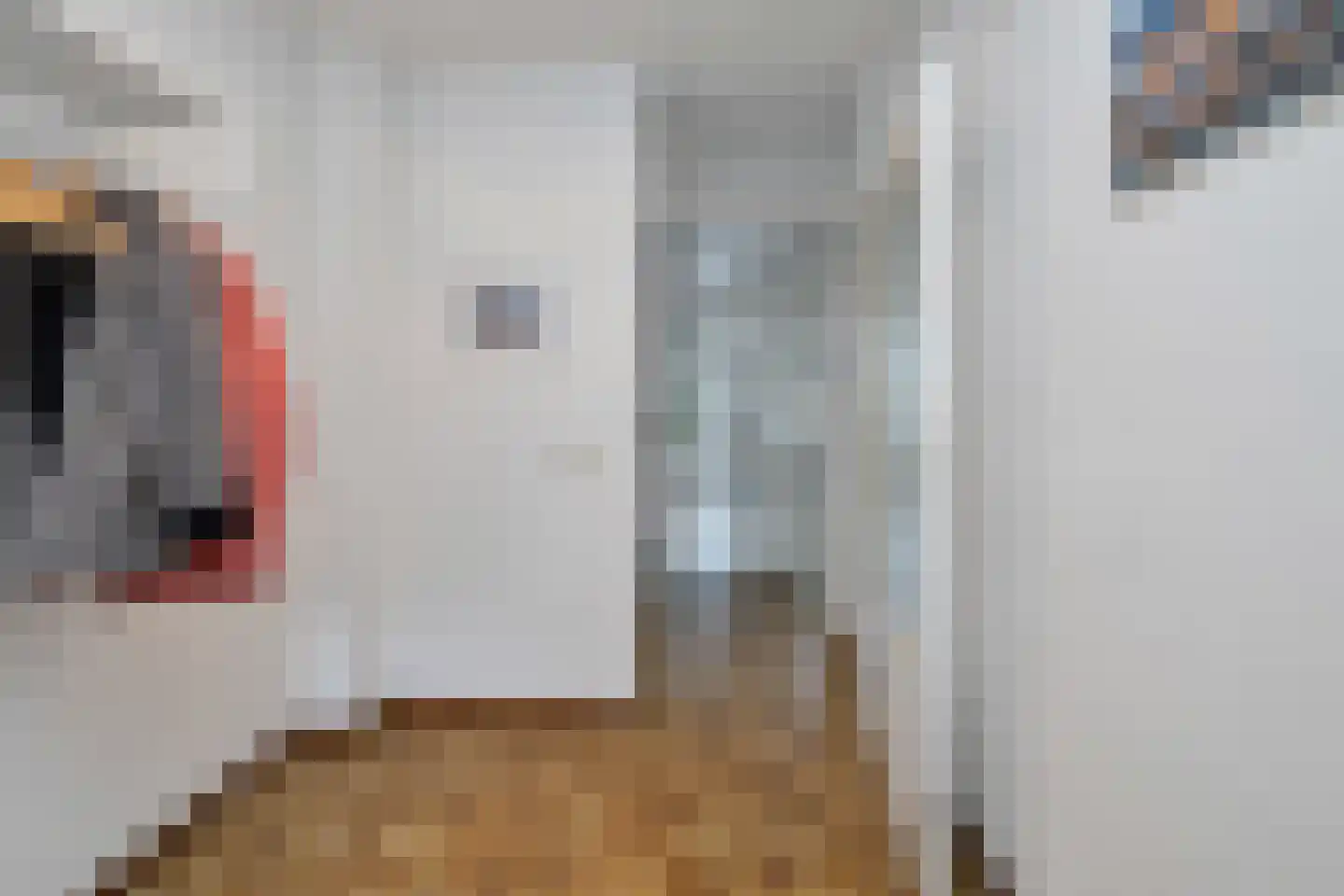 Schepenenstraat 20 Geldrop thumbnail 6