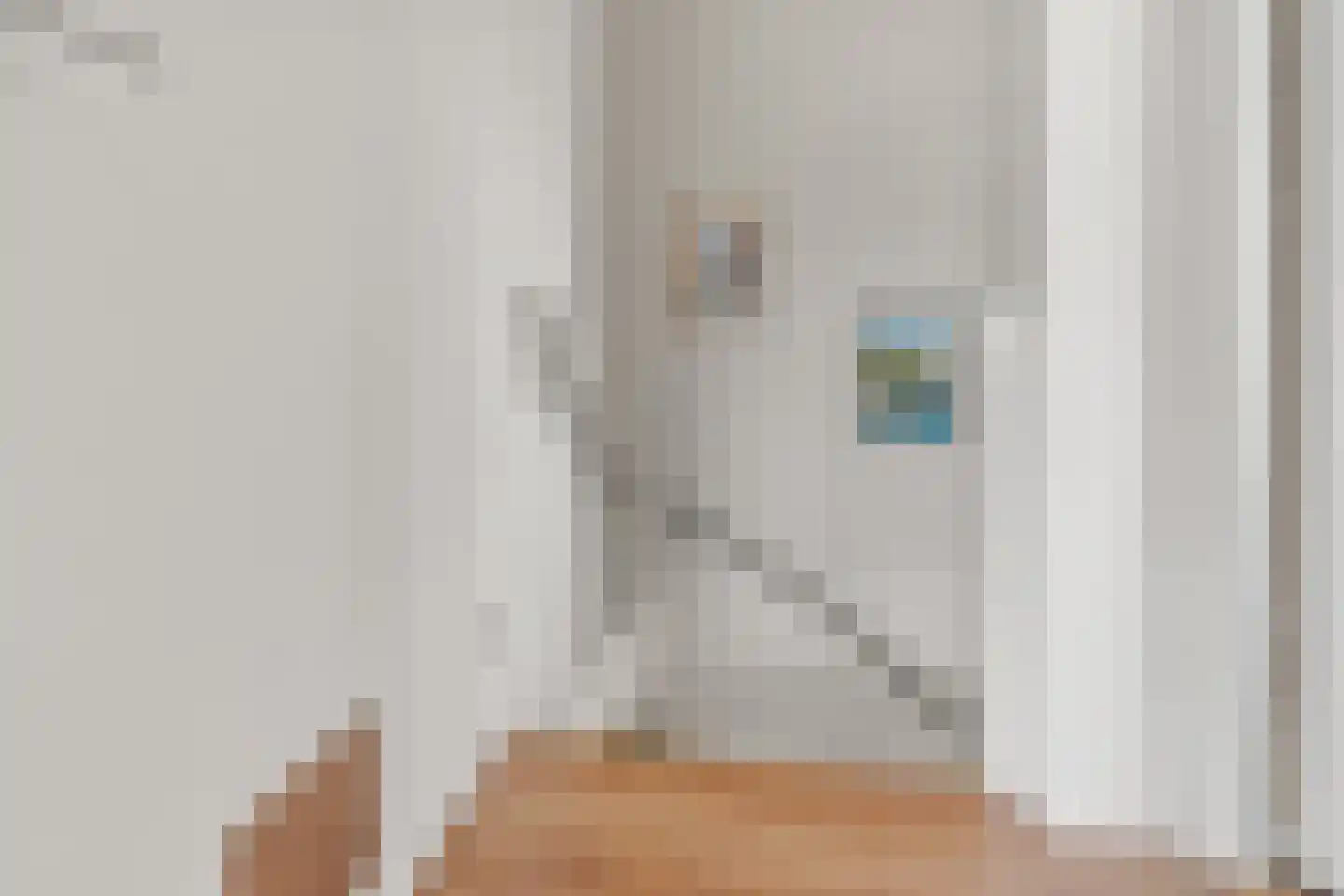 Schepenenstraat 3 Montfoort thumbnail 17