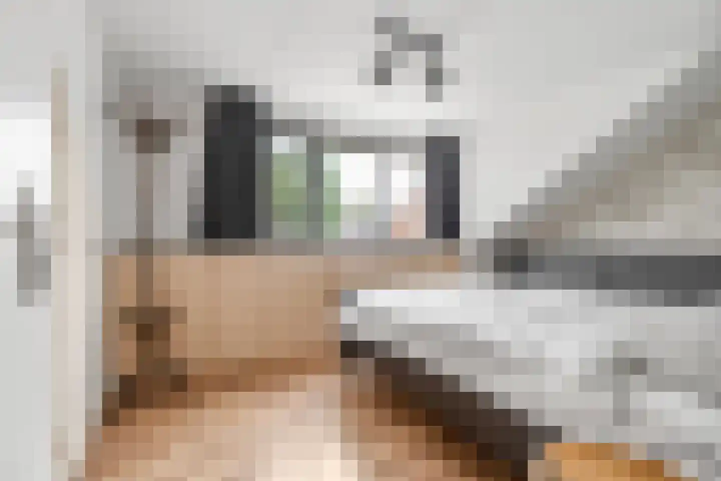 Schepenenstraat 3 Montfoort thumbnail 18