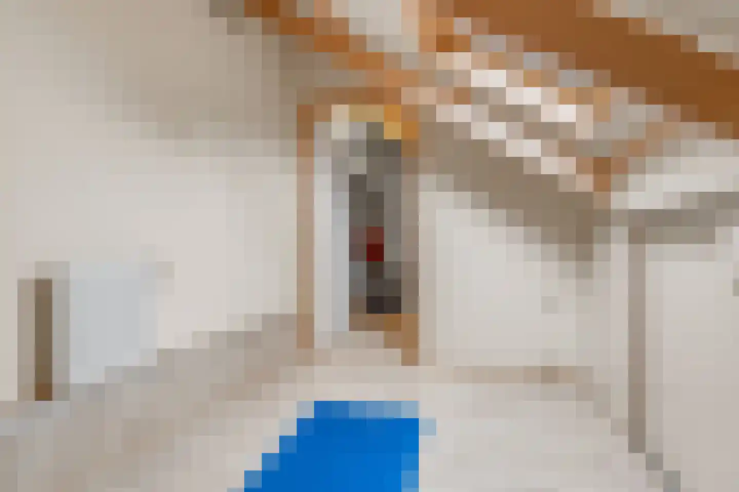 Schepenenstraat 3 Montfoort thumbnail 27