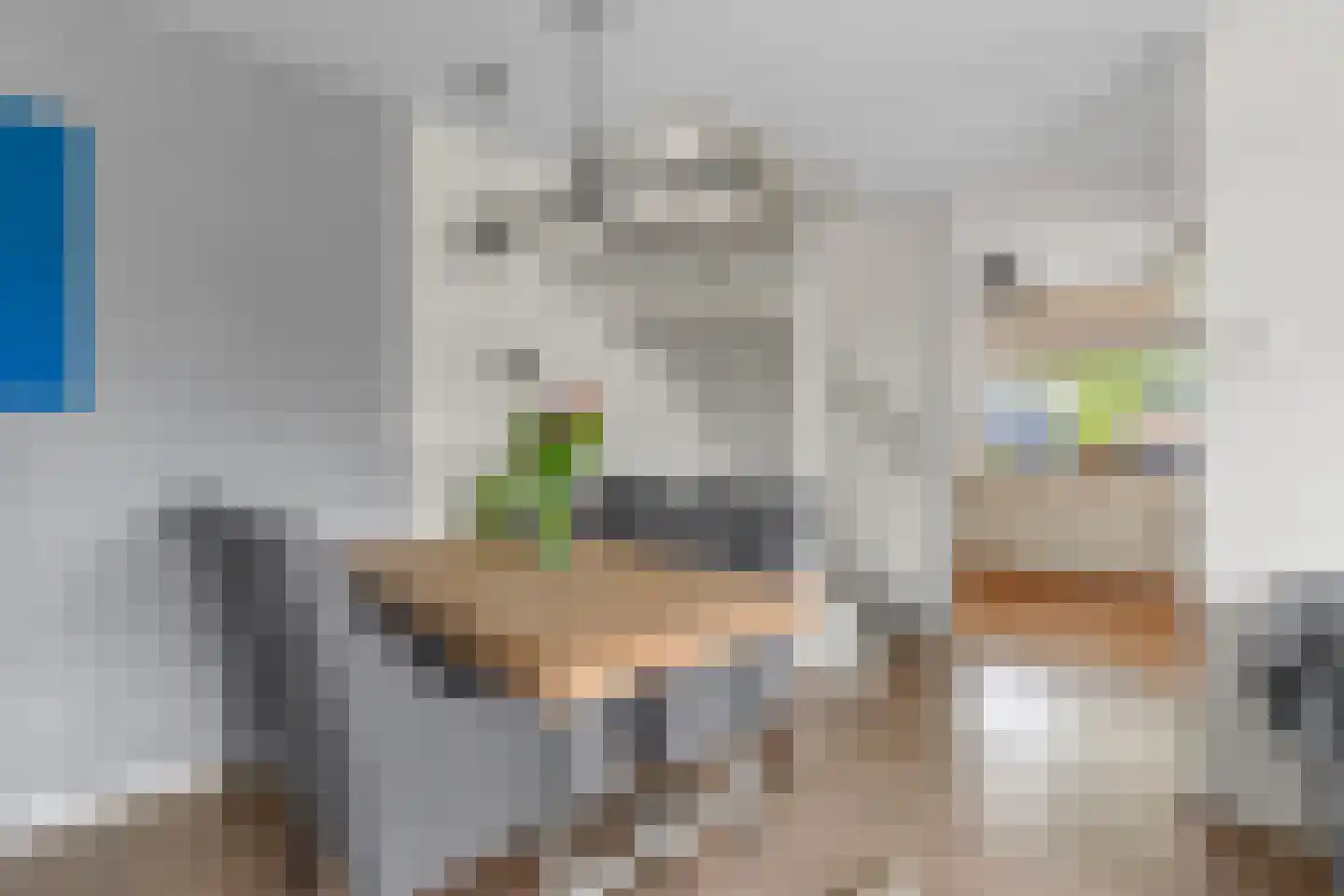 Schepenenstraat 3 Montfoort thumbnail 8