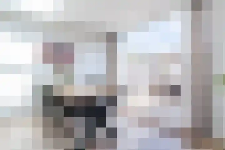 Schepenenstraat 30 Geldrop thumbnail 16