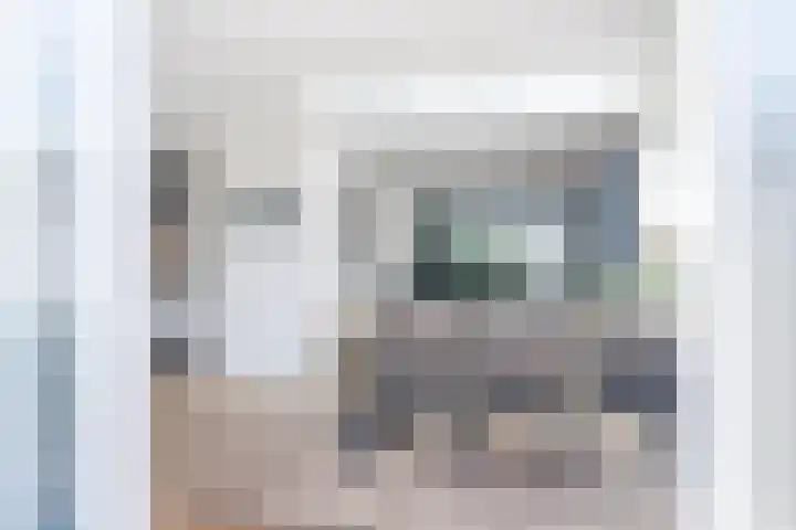 Schepenenstraat 30 Geldrop thumbnail 17