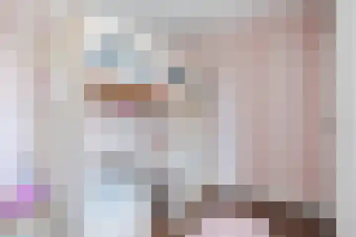 Schepenenstraat 30 Geldrop thumbnail 25