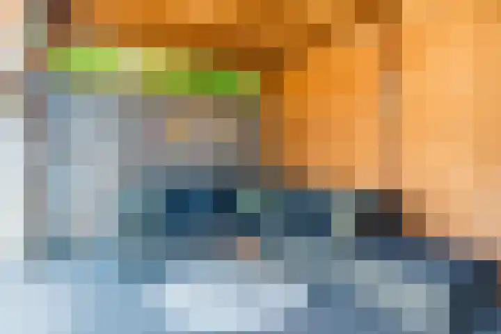 Schepenenstraat 30 Geldrop thumbnail 36