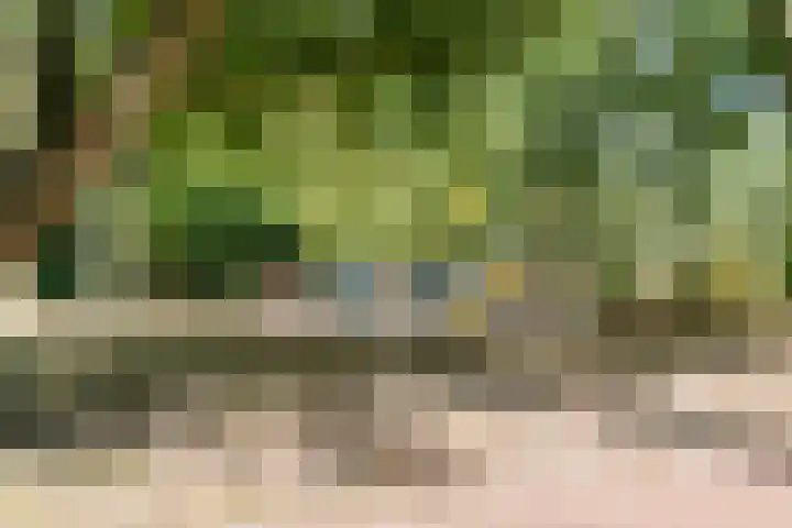 Schepenenstraat 30 Geldrop thumbnail 40