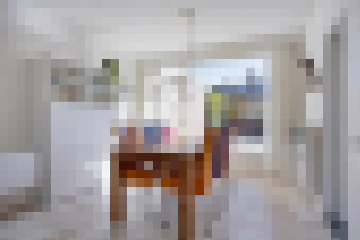 Schepenenstraat 34 Geldrop thumbnail 10