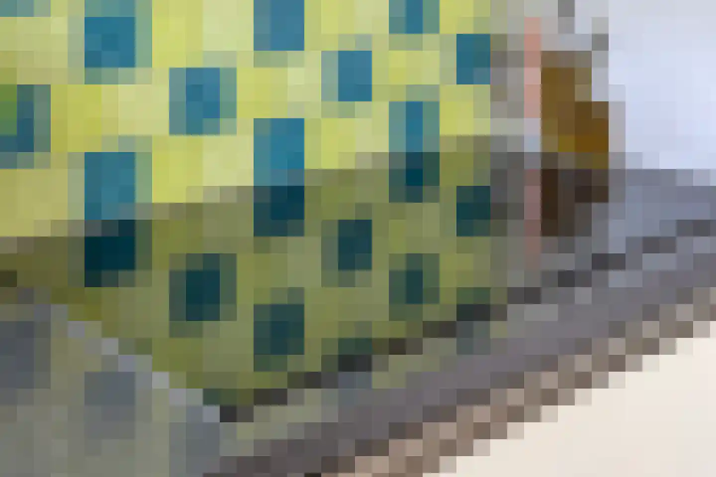 Schepenenstraat 34 Geldrop thumbnail 11