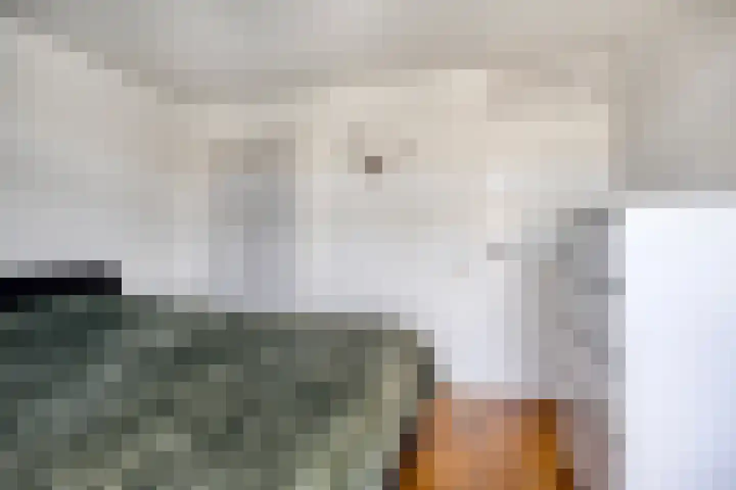 Schepenenstraat 34 Geldrop thumbnail 17