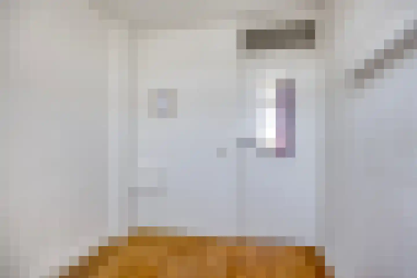 Schepenenstraat 34 Geldrop thumbnail 25
