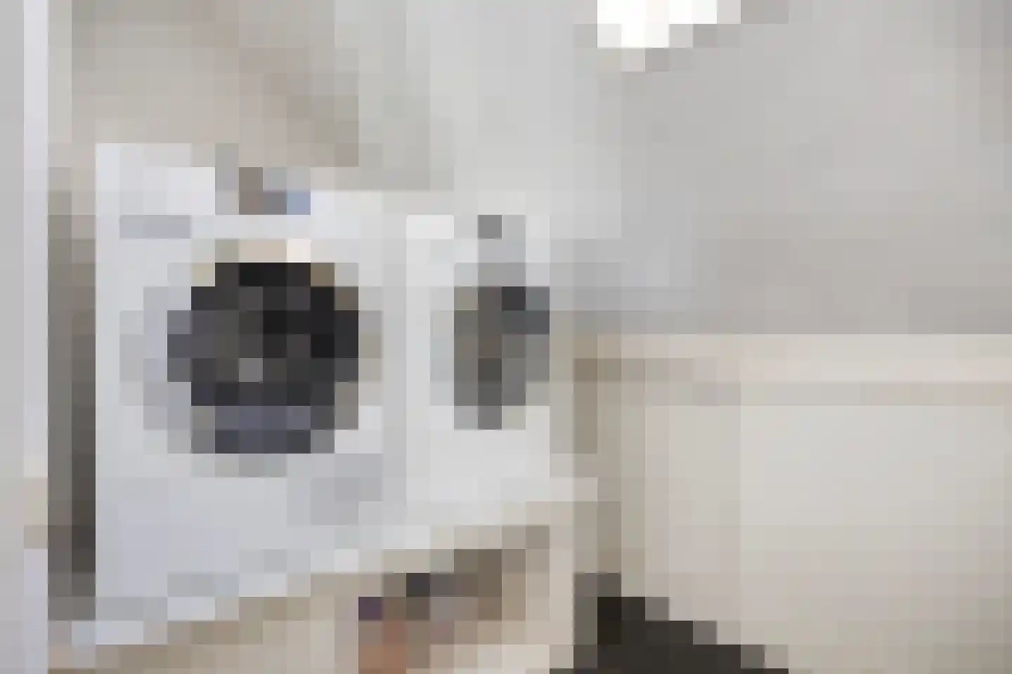 Schepenenstraat 34 Geldrop thumbnail 29