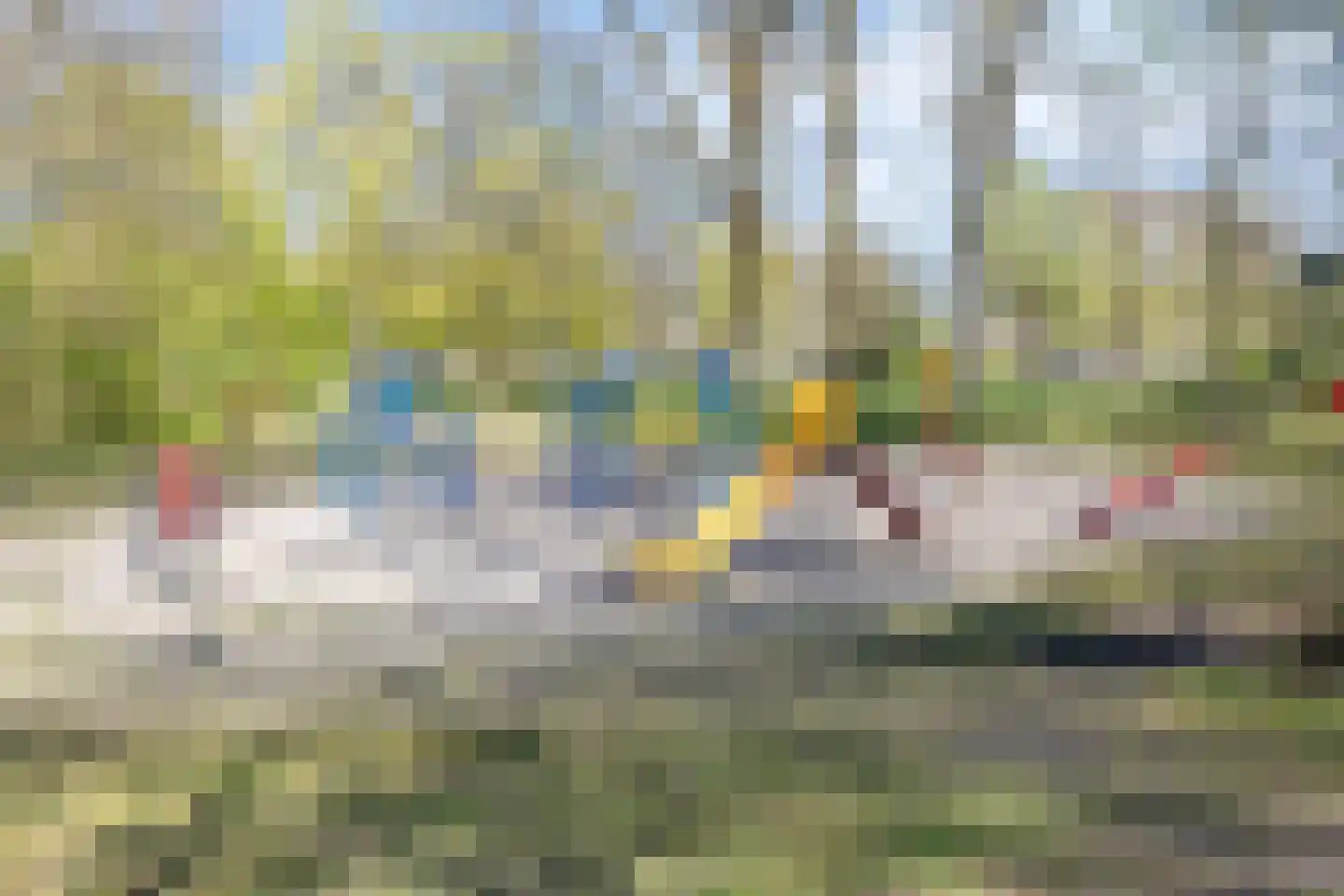 Schepenenstraat 34 Geldrop thumbnail 39