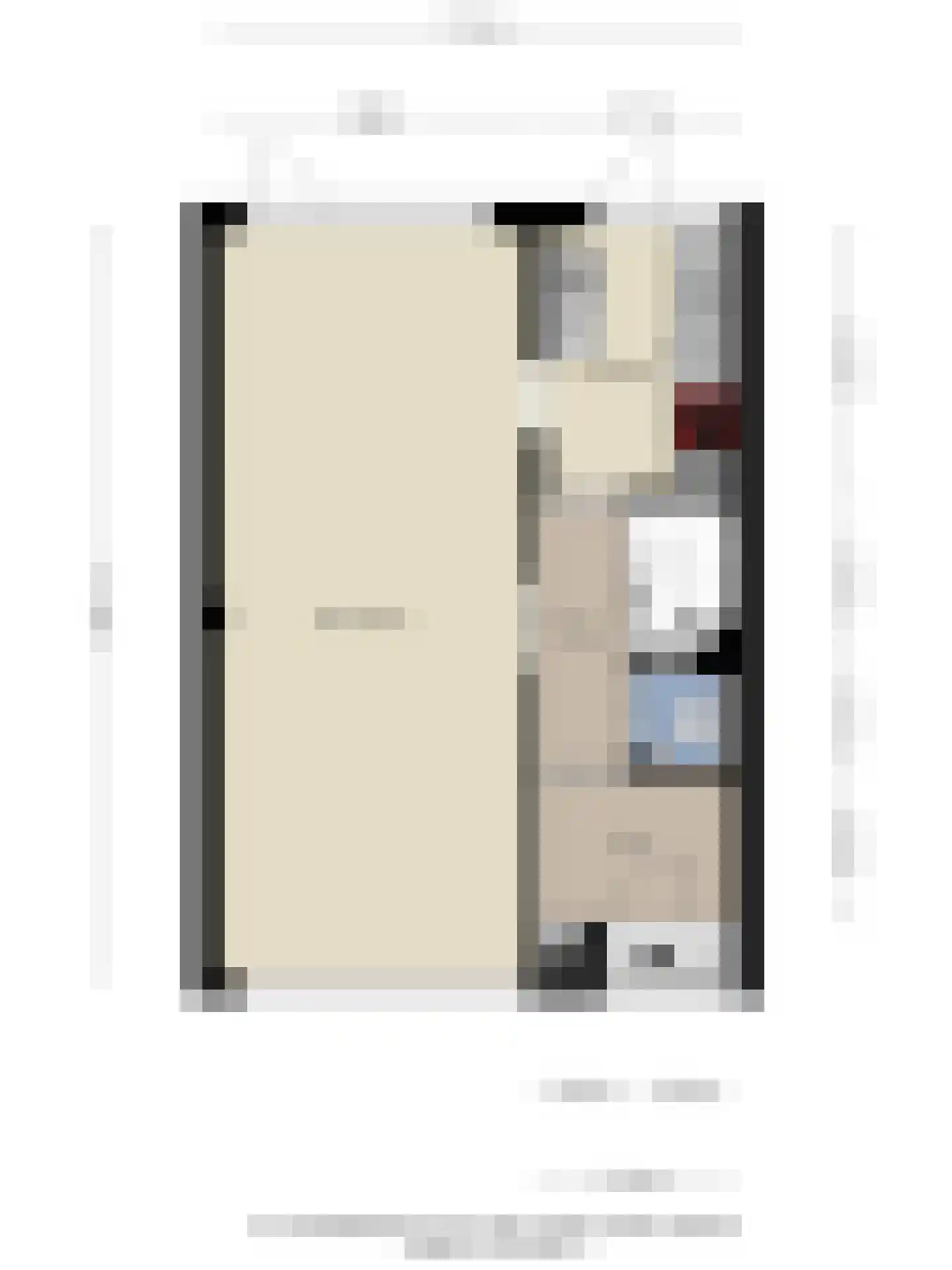 Schepenenstraat 34 Geldrop thumbnail 42