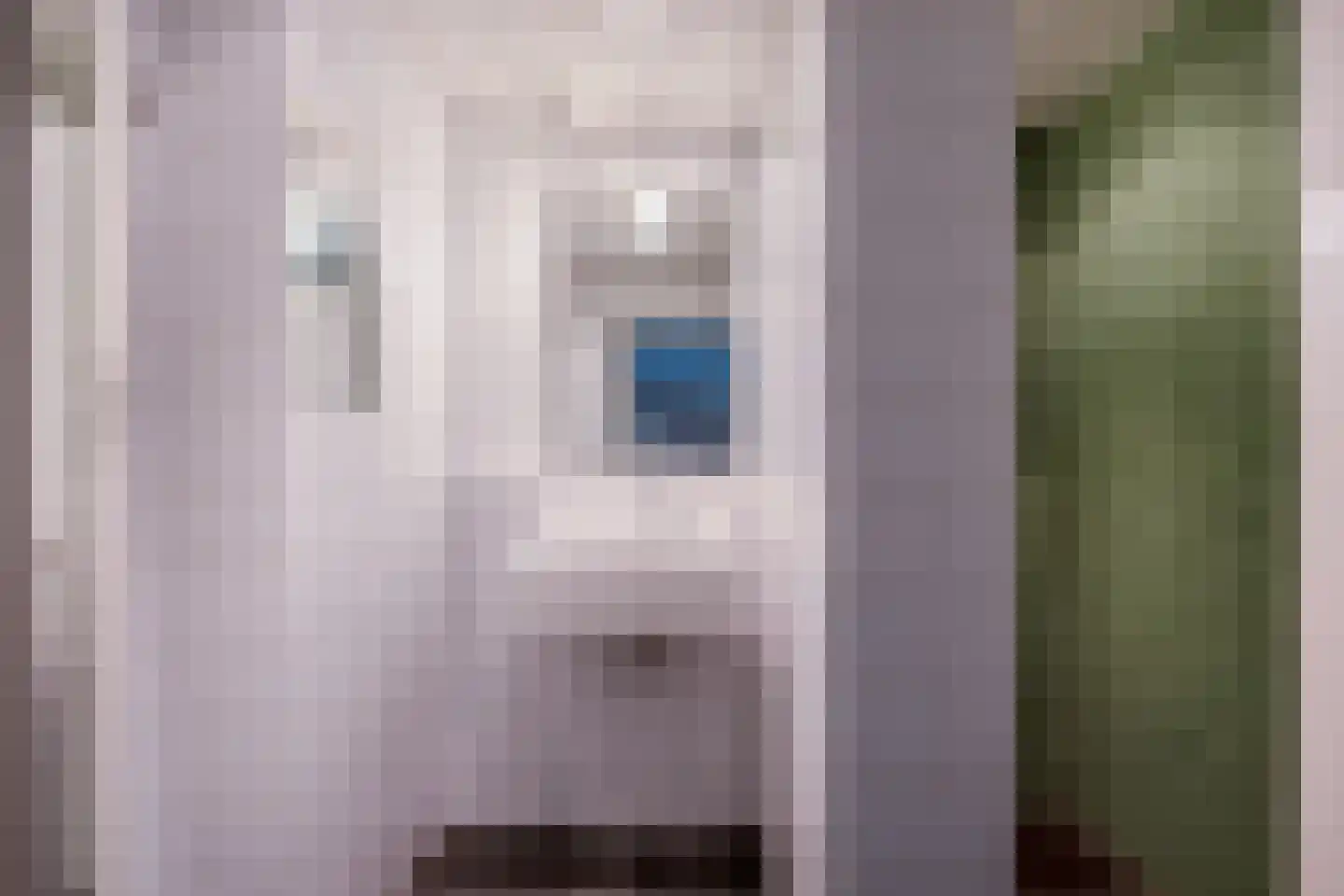 Schepenenstraat 47 Nijmegen thumbnail 32