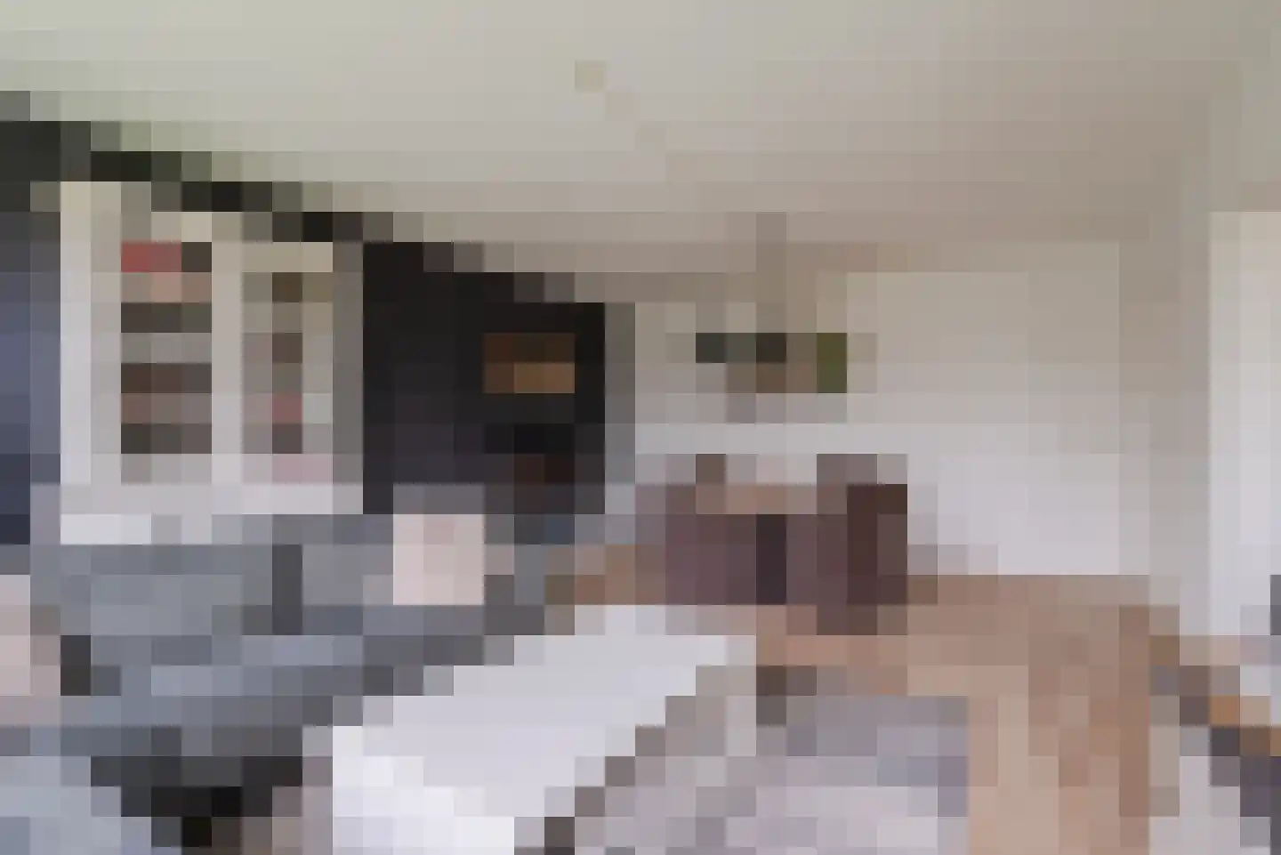 Schepenenstraat 53 Geldrop thumbnail 11