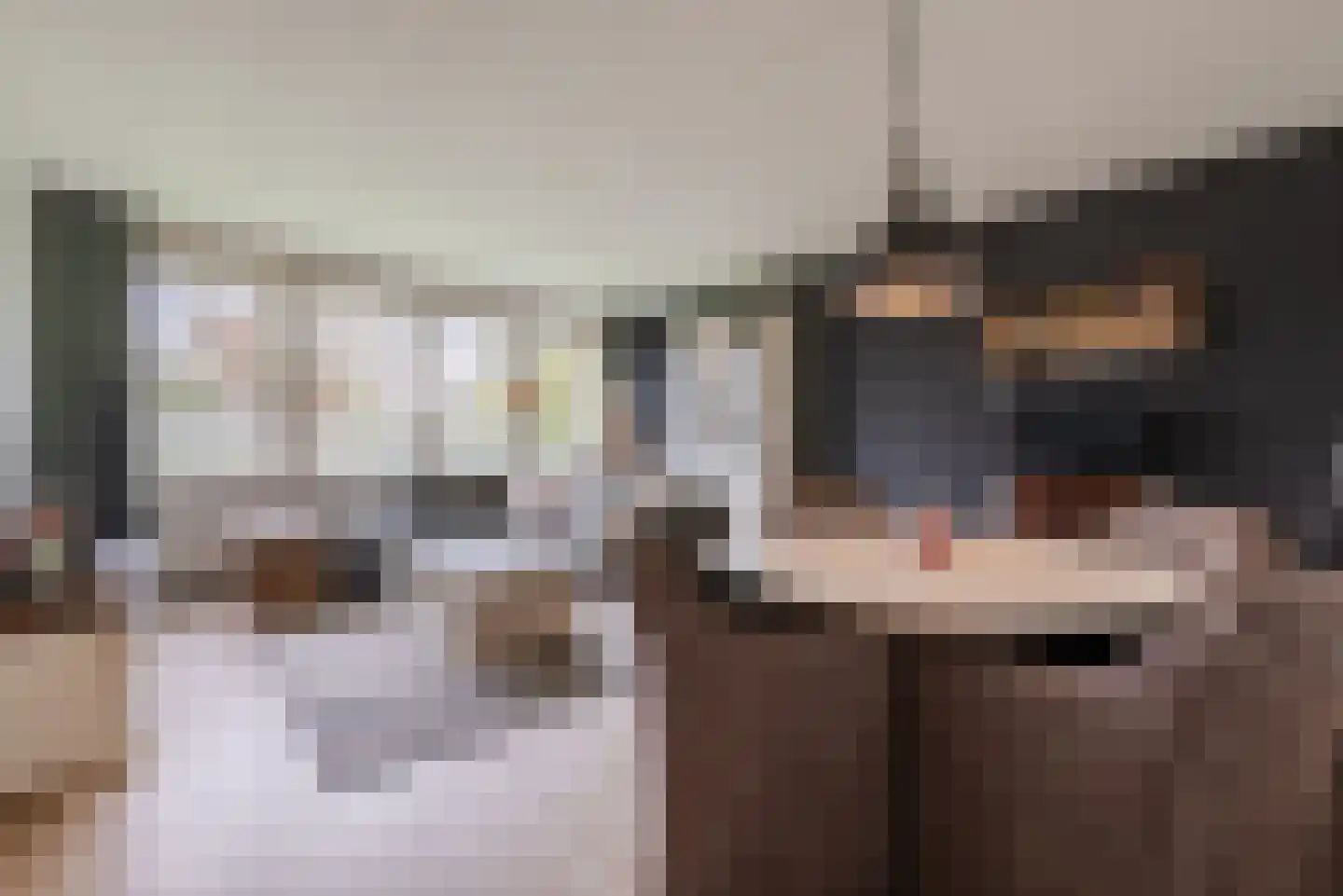 Schepenenstraat 53 Geldrop thumbnail 12