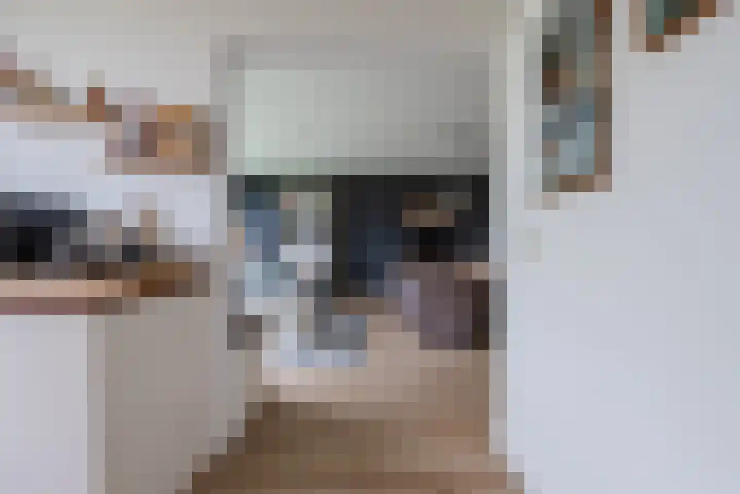 Schepenenstraat 53 Geldrop thumbnail 16