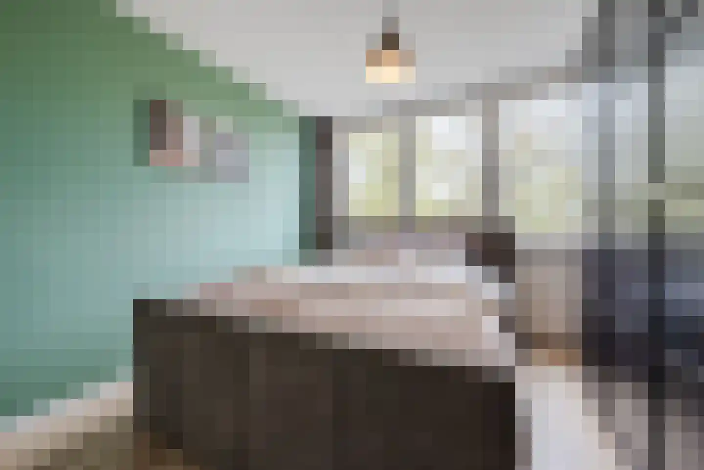Schepenenstraat 53 Geldrop thumbnail 18