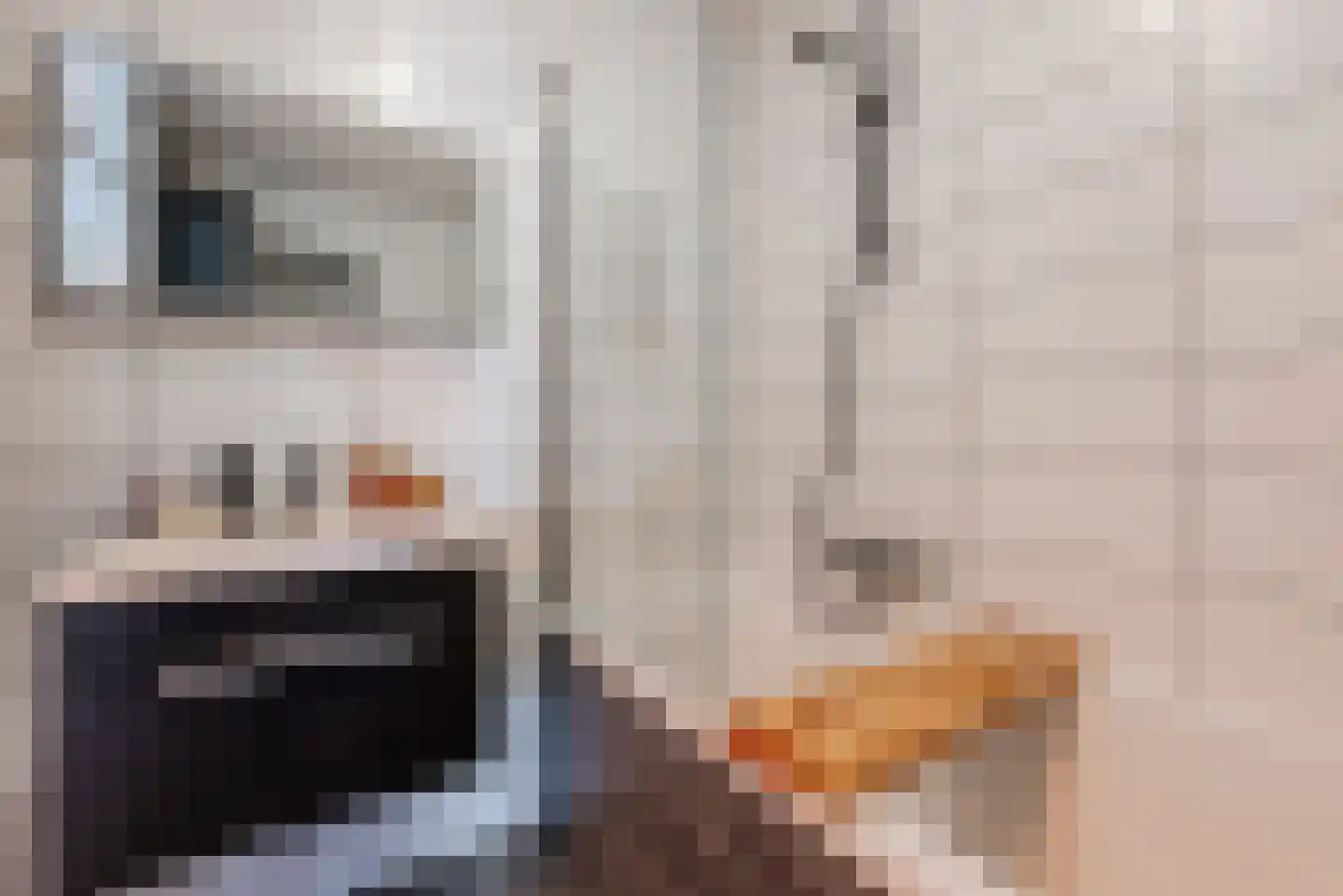 Schepenenstraat 53 Geldrop thumbnail 19