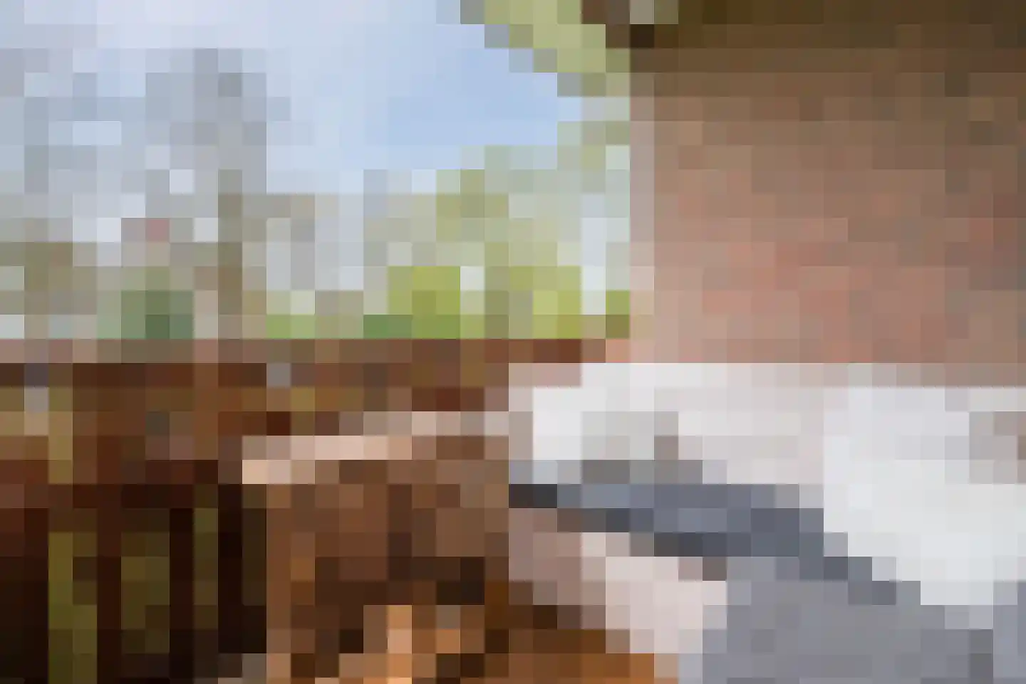 Schepenenstraat 53 Geldrop thumbnail 21