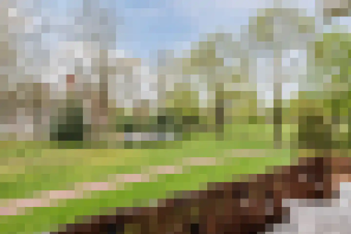 Schepenenstraat 53 Geldrop thumbnail 22