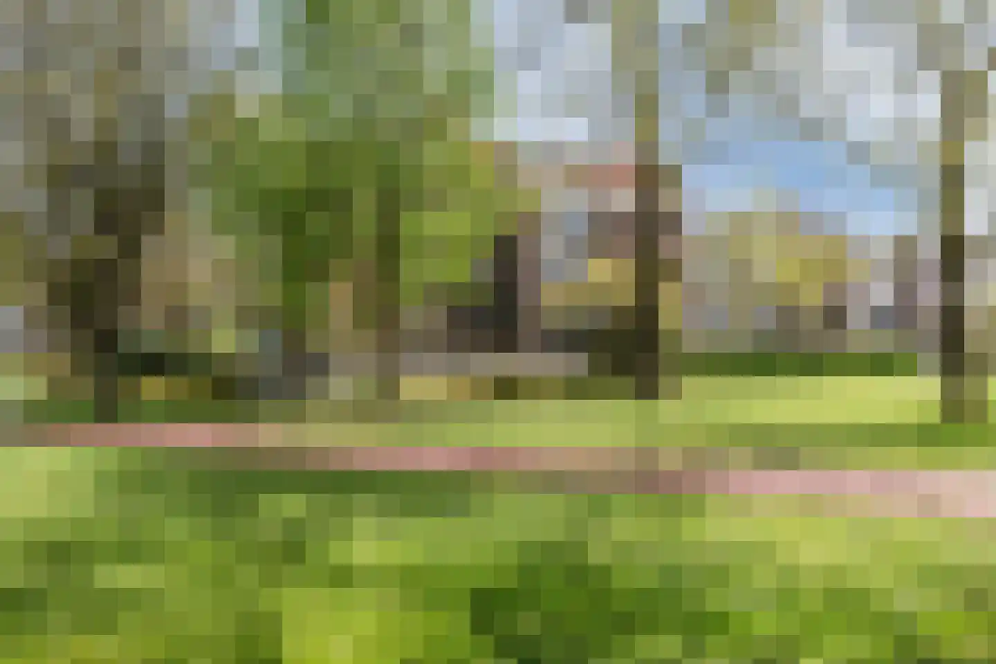 Schepenenstraat 53 Geldrop thumbnail 28