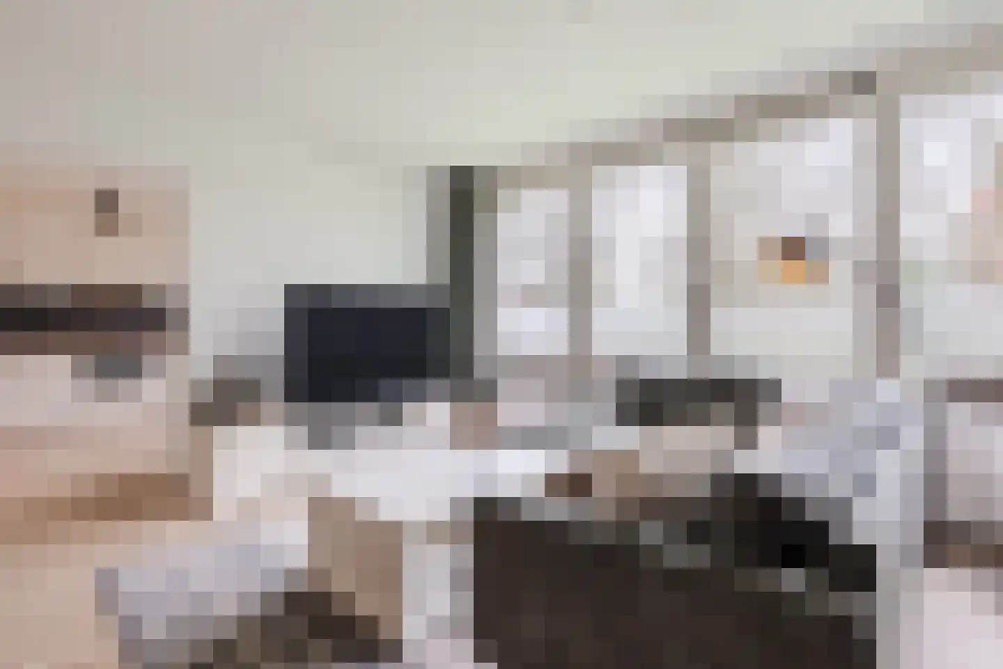 Schepenenstraat 53 Geldrop thumbnail 9