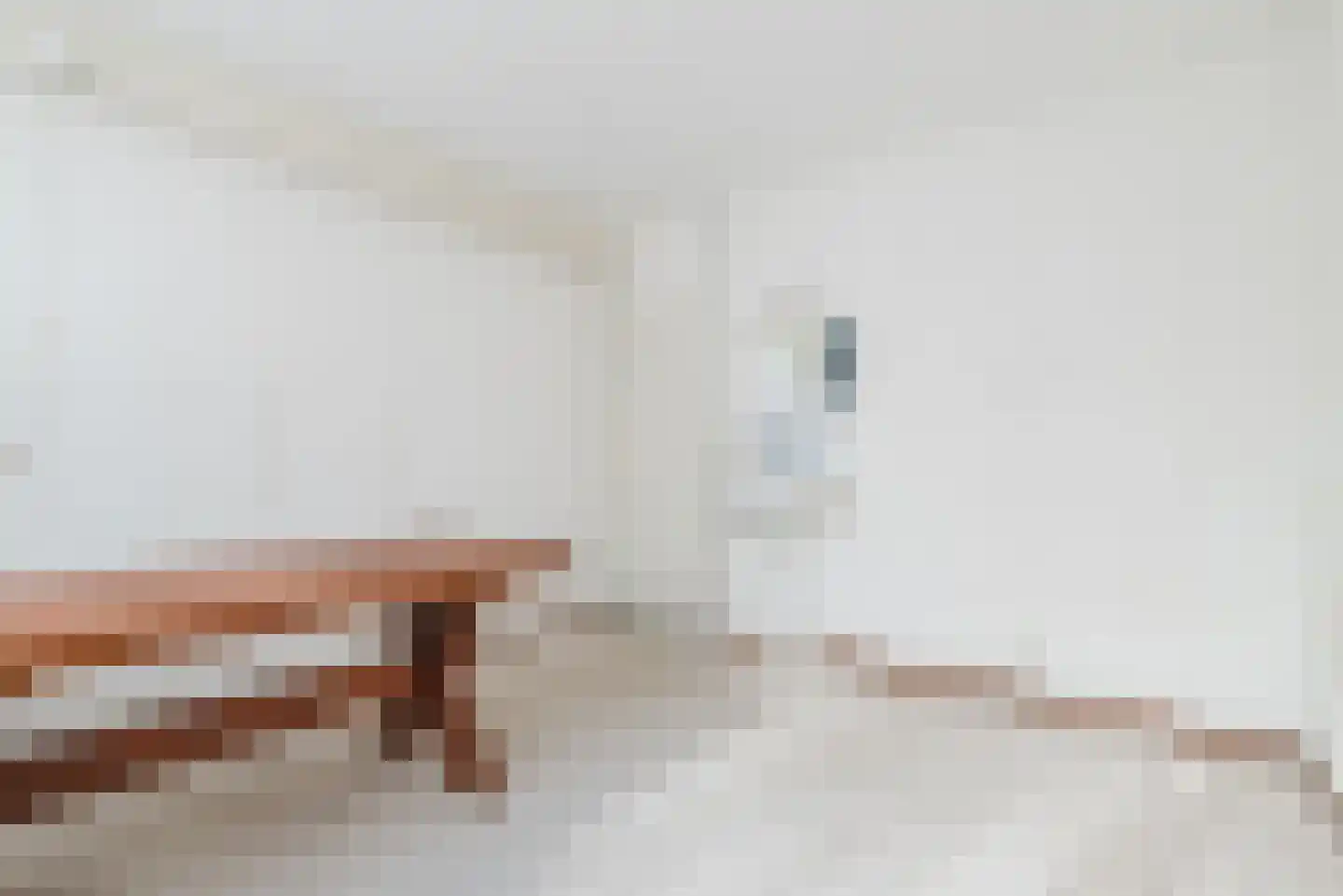 Schepenenstraat 55 Geldrop thumbnail 19