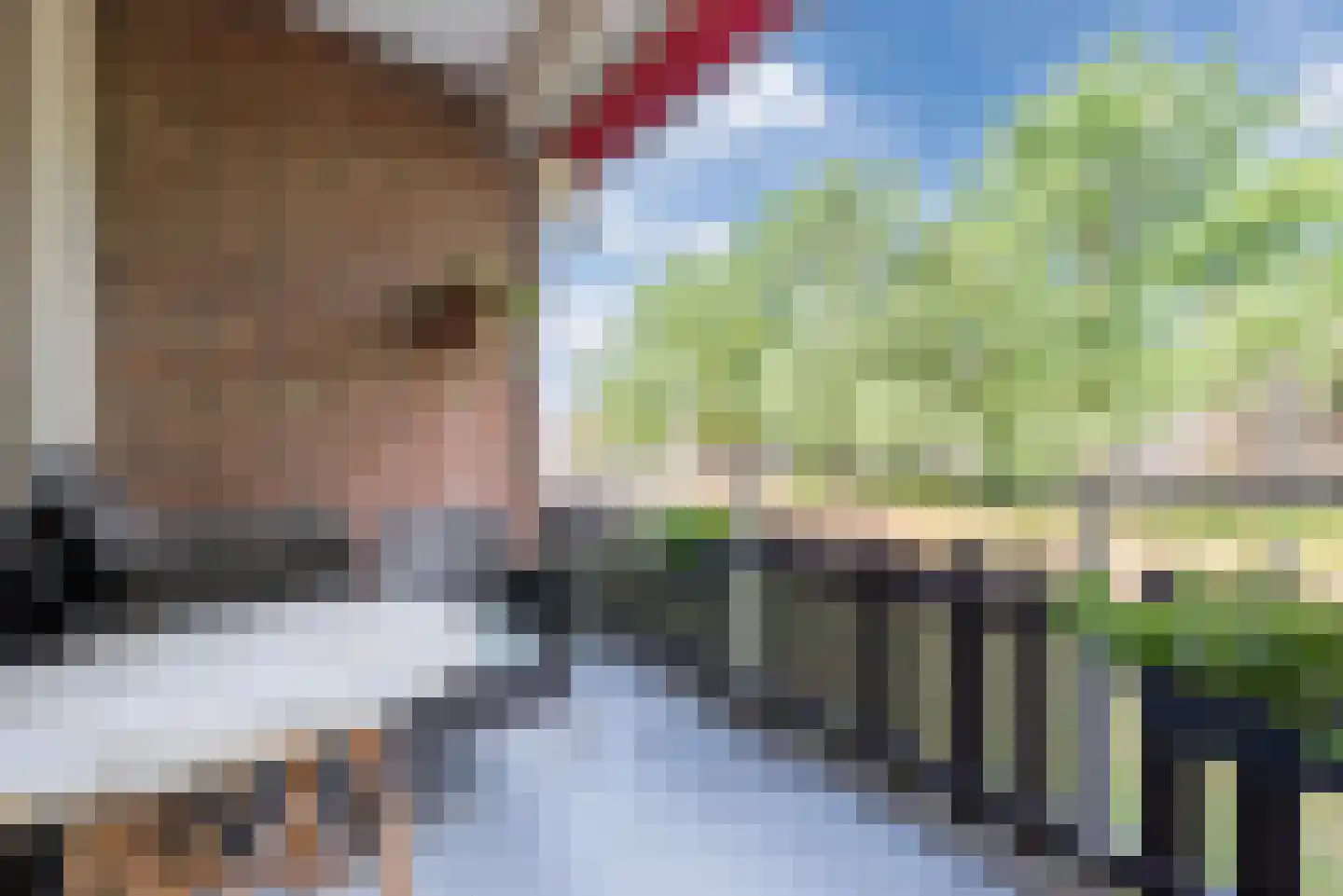 Schepenenstraat 55 Geldrop thumbnail 24