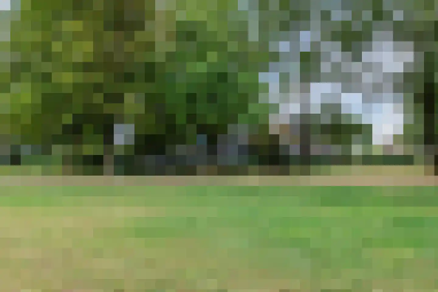Schepenenstraat 55 Geldrop thumbnail 30
