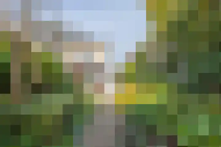 Schepenenstraat 7 Kerkrade thumbnail 29