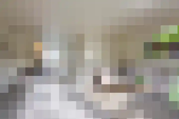 Schepenenstraat 7 Kerkrade thumbnail 6