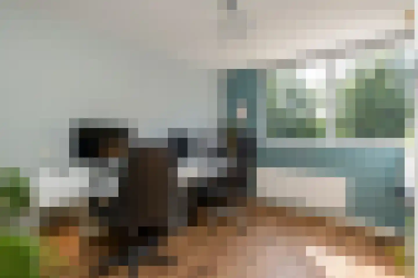 Schepenenveld 151 Apeldoorn thumbnail 17