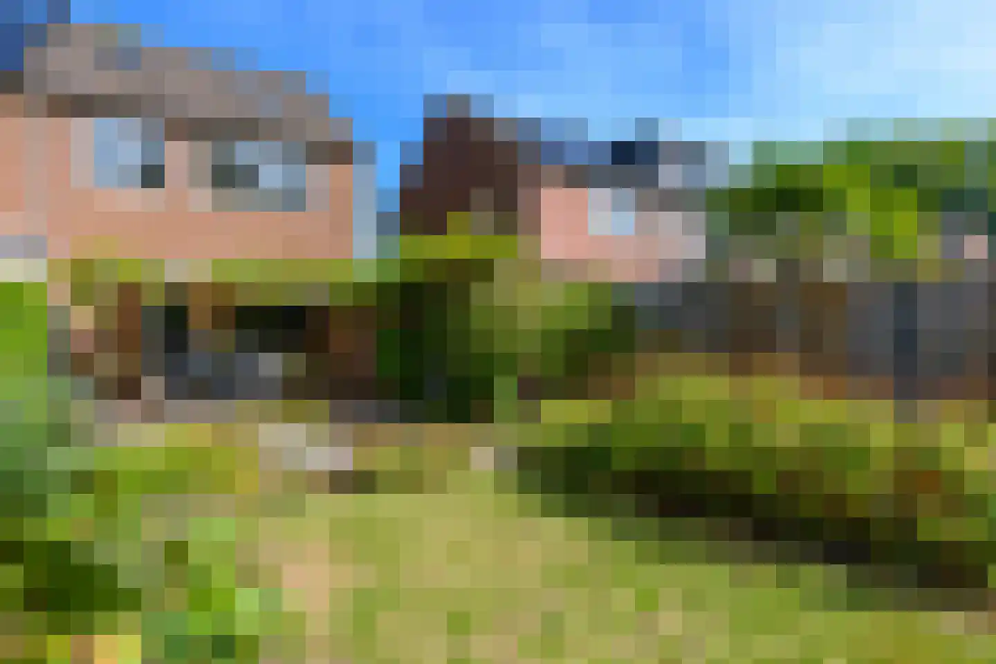 Schepenenveld 151 Apeldoorn thumbnail 24